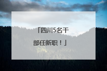四川5名干部任新职！