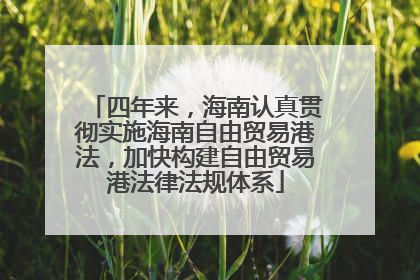 四年来，海南认真贯彻实施海南自由贸易港法，加快构建自由贸易港法律法规体系