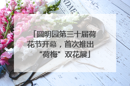 圆明园第三十届荷花节开幕，首次推出“荷梅”双花展