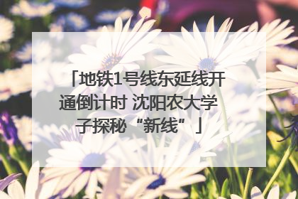 地铁1号线东延线开通倒计时 沈阳农大学子探秘“新线”