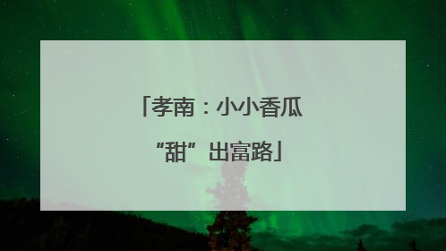 孝南：小小香瓜 “甜”出富路