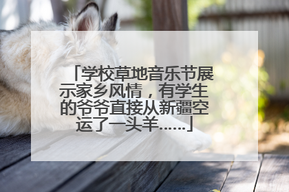 学校草地音乐节展示家乡风情，有学生的爷爷直接从新疆空运了一头羊……