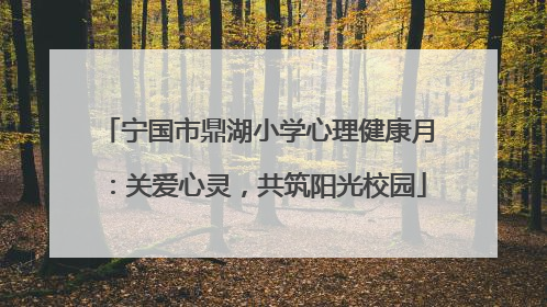 宁国市鼎湖小学心理健康月：关爱心灵，共筑阳光校园