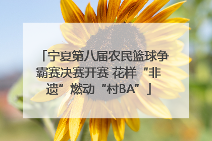 宁夏第八届农民篮球争霸赛决赛开赛 花样“非遗”燃动“村BA”