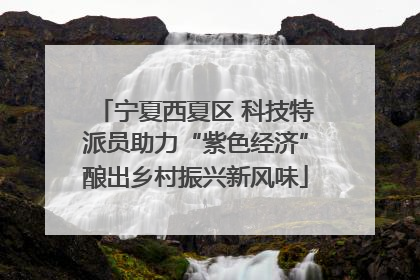 宁夏西夏区 科技特派员助力“紫色经济”酿出乡村振兴新风味