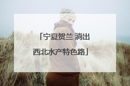 宁夏贺兰 淌出西北水产特色路