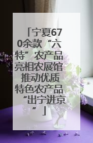 宁夏670余款“六特”农产品亮相农展馆 推动优质特色农产品“出宁进京”
