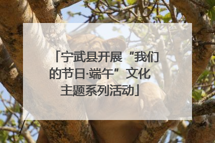 宁武县开展“我们的节日·端午”文化主题系列活动