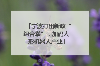 宁波打出新政“组合拳”，加码人形机器人产业