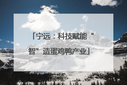 宁远：科技赋能“智”造蛋鸡鸭产业