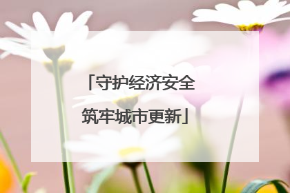 守护经济安全 筑牢城市更新