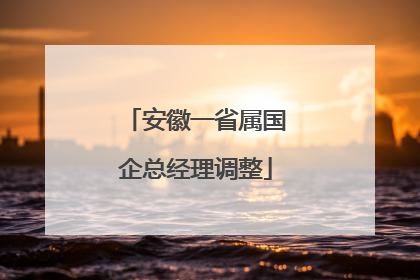 安徽一省属国企总经理调整