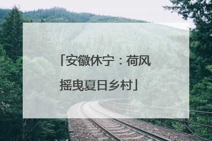 安徽休宁：荷风摇曳夏日乡村