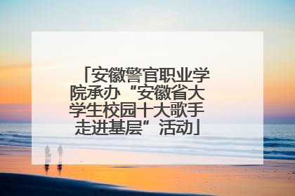 安徽警官职业学院承办“安徽省大学生校园十大歌手走进基层”活动
