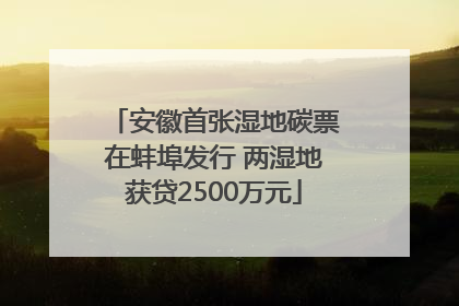 安徽首张湿地碳票在蚌埠发行 两湿地获贷2500万元