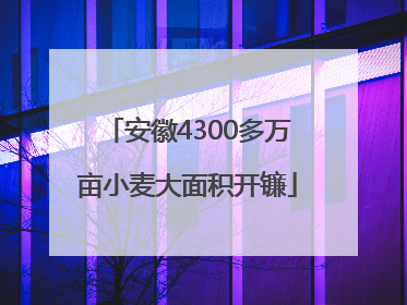 安徽4300多万亩小麦大面积开镰