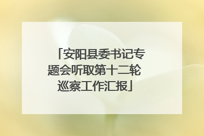 安阳县委书记专题会听取第十二轮巡察工作汇报