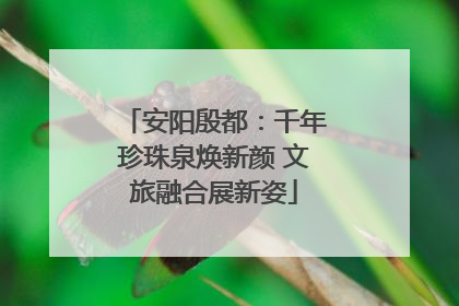 安阳殷都：千年珍珠泉焕新颜 文旅融合展新姿
