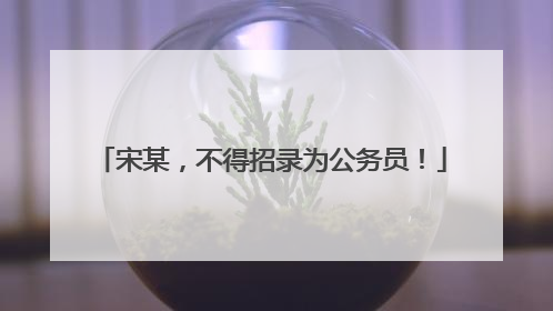 宋某，不得招录为公务员！