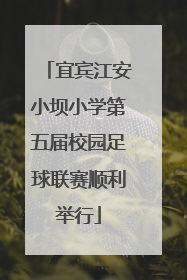 宜宾江安小坝小学第五届校园足球联赛顺利举行