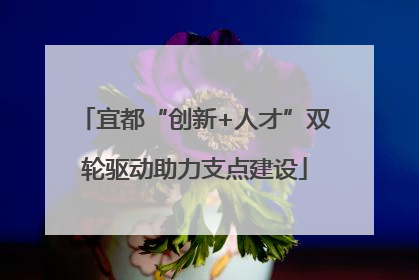 宜都“创新+人才”双轮驱动助力支点建设
