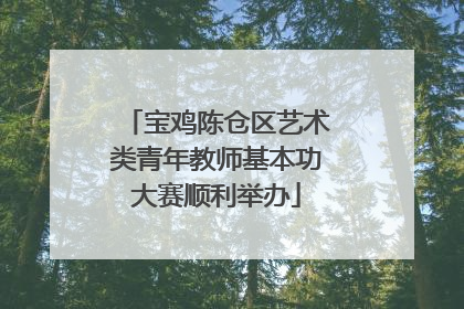 宝鸡陈仓区艺术类青年教师基本功大赛顺利举办