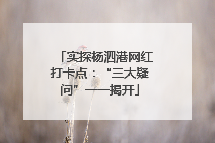实探杨泗港网红打卡点：“三大疑问”一一揭开