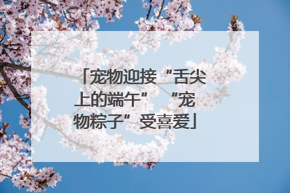 宠物迎接“舌尖上的端午” “宠物粽子”受喜爱