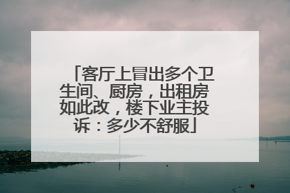 客厅上冒出多个卫生间、厨房，出租房如此改，楼下业主投诉：多少不舒服