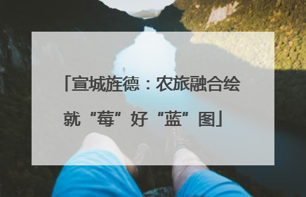 宣城旌德：农旅融合绘就“莓”好“蓝”图