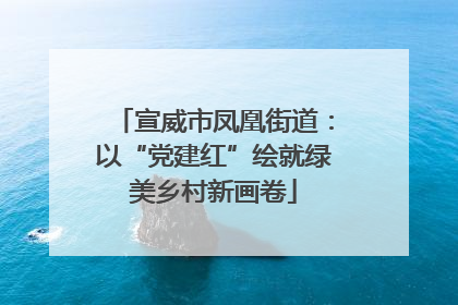 宣威市凤凰街道：以“党建红”绘就绿美乡村新画卷