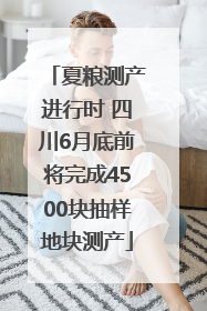 夏粮测产进行时 四川6月底前将完成4500块抽样地块测产
