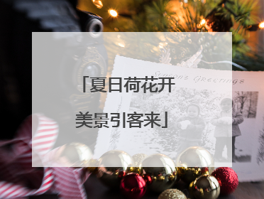 夏日荷花开 美景引客来