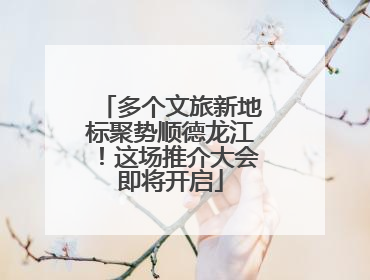 多个文旅新地标聚势顺德龙江！这场推介大会即将开启