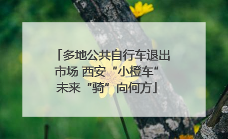 多地公共自行车退出市场 西安“小橙车”未来“骑”向何方