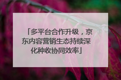 多平台合作升级，京东内容营销生态持续深化种收协同效率