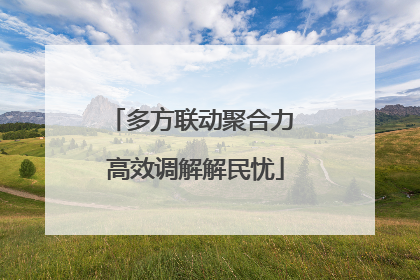 多方联动聚合力 高效调解解民忧