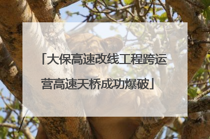 大保高速改线工程跨运营高速天桥成功爆破