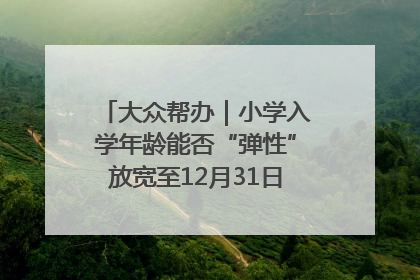大众帮办｜小学入学年龄能否“弹性”放宽至12月31日？有地方已在探索