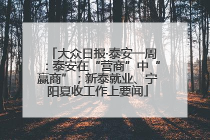 大众日报·泰安一周：泰安在“营商”中“赢商”；新泰就业、宁阳夏收工作上要闻