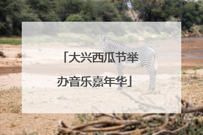 大兴西瓜节举办音乐嘉年华