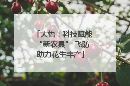 大悟：科技赋能“新农具” 飞防助力花生丰产