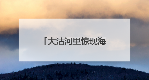 大沽河里惊现海豹？专家：有过此类案例，市民不要自行靠近
