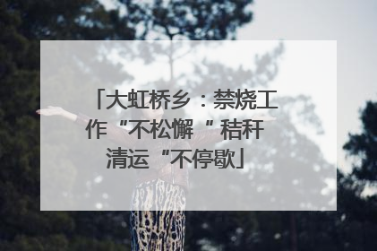大虹桥乡：禁烧工作“不松懈“ 秸秆清运“不停歇