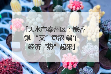 天水市秦州区：粽香飘 “艾”意浓 端午经济“热”起来