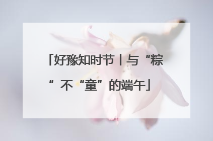 好豫知时节丨与“粽”不“童”的端午