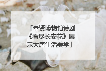 奉贤博物馆诗剧《看尽长安花》展示大唐生活美学