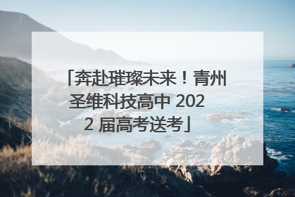 奔赴璀璨未来！青州圣维科技高中 2022 届高考送考