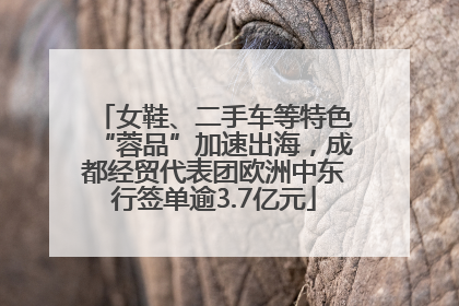 女鞋、二手车等特色“蓉品”加速出海，成都经贸代表团欧洲中东行签单逾3.7亿元