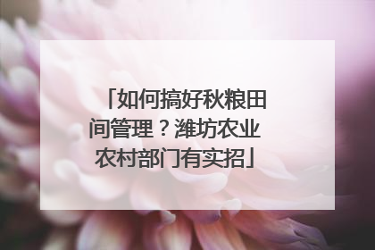 如何搞好秋粮田间管理？潍坊农业农村部门有实招